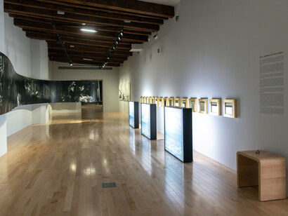 Varios artistas, El dorado. De la utopía al mito contemporáneo, vista de exhibición. Cortesía del Museo Amparo