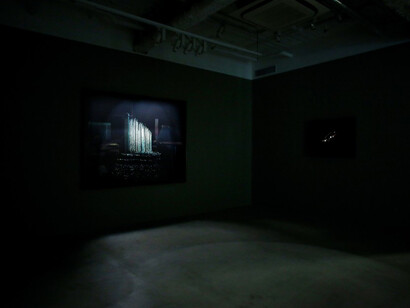 Chen Wei, Exhibition view. Courtesy of Ota Fine Arts