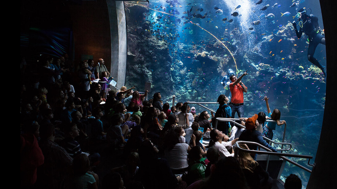 Philippine Coral Reef. Courtesy of California Academy of Sciences