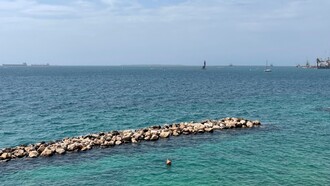 Le cozze di Taranto sono note per la loro qualità, legata alle caratteristiche ambientali dello Ionio e del Mar Piccolo, dove crescono in acque salmastre. Corso due Mari, Taranto, Puglia, Italia