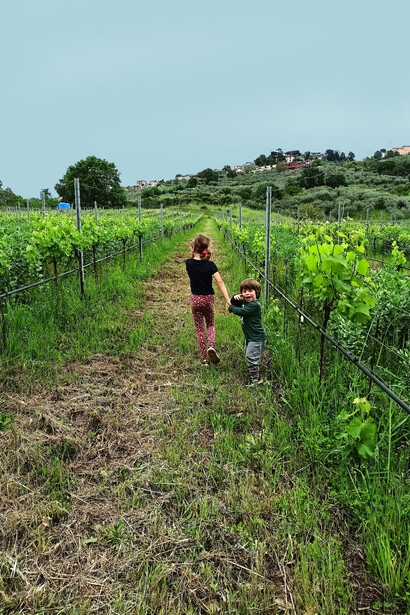 New generation in the vineyard (Ernesta's children)