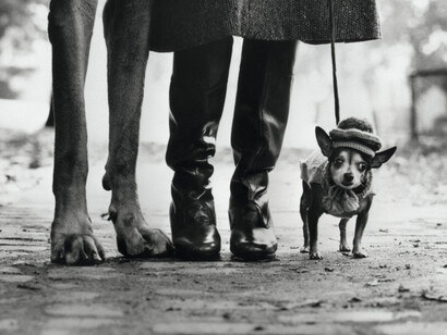 ‘Dog Dogs’ in Toulon. Courtesy of Magnum Photos