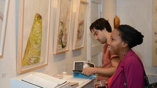 Notched Bodies, Installation view