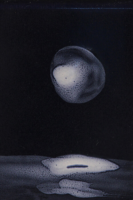 Winifred McNeill, Luminous echo. Courtesy of Ivy Brown Gallery 