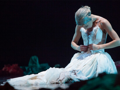 Il lago dei cigni. Foto Matteo Carratoni