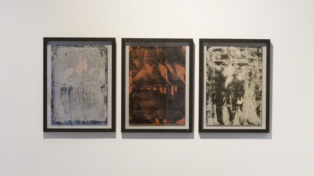 Nature Paintings. Courtesy of Puerta Roja