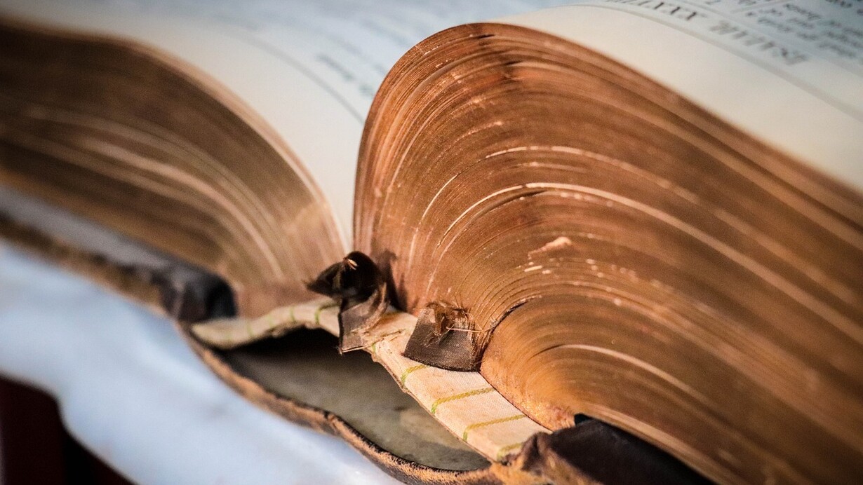 Libro antico, enciclopedie. Il Medioevo elabora delle proprie “enciclopedie”: già a partire da Plino il Vecchio, autore di "Historia Naturalis", nascono queste forme letterarie di consultazione