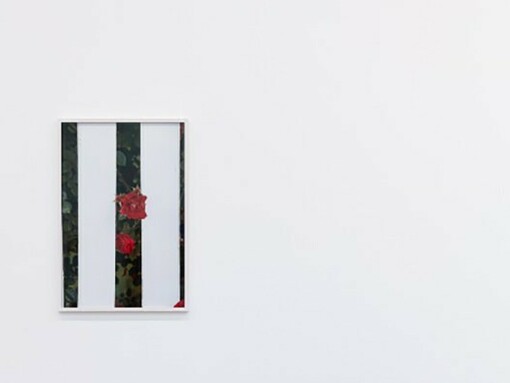 Installation view, artworks from left to right: © Roe Ethridge, © Cady Noland,  ph. Lucy Dawkins
