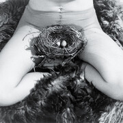 Birgit Jürgenssen, Nest, 1979 SW-Fotografie © Estate of Birgit Jürgenssen  Bildrecht, Wien, 2015  Sammlung Verbund, Wien