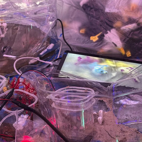 Kerem Ozan Bayraktar, Spirits on the ground, exhibition view. Courtesy of Sanatorium