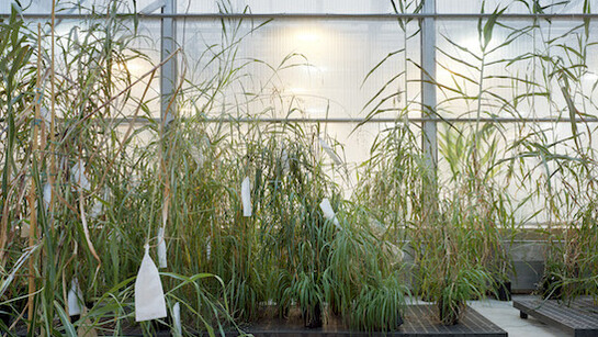 Thomas Struth. Courtesy of MAST Foundation