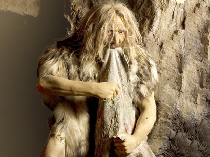 L’addomesticamento, è stato un processo molto lento ed è avvenuto molto tempo dopo la comparsa dell’Homo sapiens