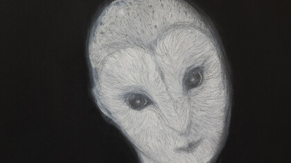 Giorgia Moretti, Barbagianna, 2015