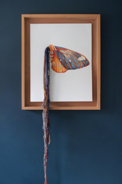 Lush Life. Courtesy of Hashimoto Contemporary