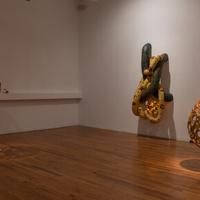 Ajay Kurian, Peanuts (Deluxe), exhibition view. Courtesy of 47 Canal