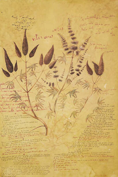 Mariella Busi De Logu, Ildegarda di Binghen