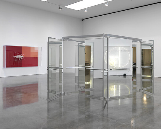 Artwork © Carsten Höller. Photography by Rob McKeever. Courtesy Gagosian.
