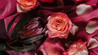 Un profumo è molto più di una fragranza: è un ricordo, un'emozione catturata in una bottiglia