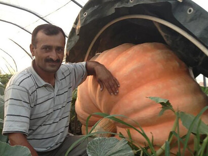 Il padre ha potere assoluto sulle decisioni matrimoniali delle figlie e la loro eventuale disobbedienza rappresenta un disonore da punire con la morte