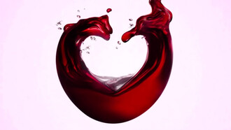 Verona's wines