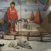 Antarctica. Courtesy of Royal Army and Military History Museum
