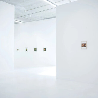 Felix De Clercq, exhibition view. Courtesy of Gallery Sofie Van de Velde