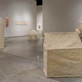 Richi Bhatia, Antevasin, the one who sits at the border of two worlds, exhibition view. Courtesy of Gallery Isabelle Van Den Eynde