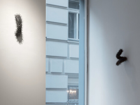 Jiyen Lee, Stain-rainbow forest, exhibition view. Courtesy of Galerie nächst St. Stephan