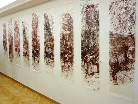 Coscienze Accese, Jessica Ferro, Differenziazioni dell'essere, Galleria La Fortezza