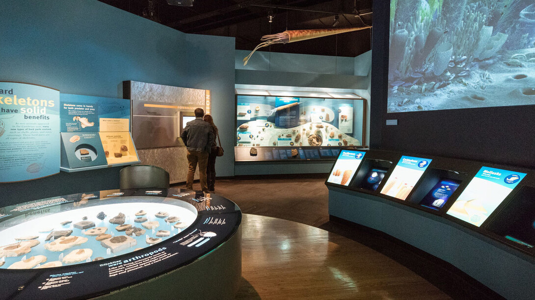 Griffin Halls of Evolving Planet. Courtesy of Field Museum