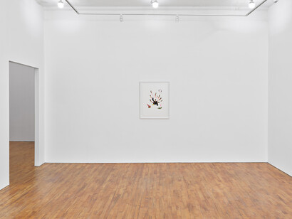 Sonya Kelliher-Combs and Natani Notah, Points of illumination, exhibition view. Courtesy of Tara Downs Gallery