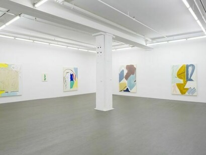Patricia Treib, Installation Views