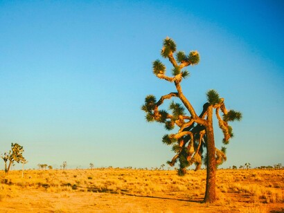 Sequías recurrentes