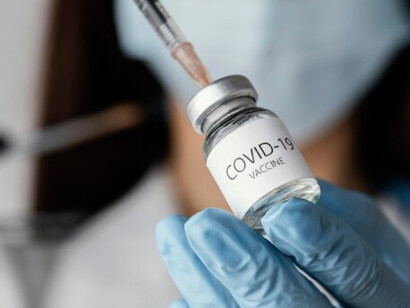 Studies examined how maternal vaccination and infection may influence fetal development during pregnancy