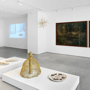 Edo Costantini, Delfina Braun y Delfina Muniz Barreto, Solsticio de invierno: semillas de la nada, vista de exhibición. Cortesía de Praxis