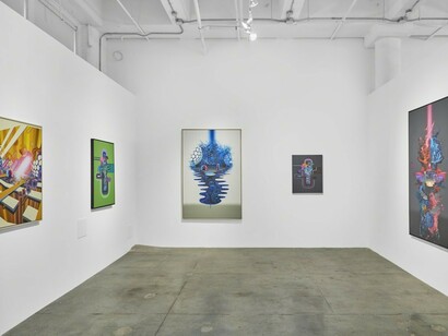 David Choong Lee. Gravity, Exhibition view. Courtesy of Jonathan LeVine Projects