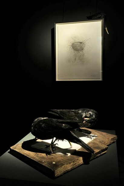 Polly Morgan, Foreground: Stop Staring, 22 x 49 x 38 cm, Stuffed Ravens and Jesmonite. Background: Cormorant, 100 x 90 x 22 cm, Cormorant embalmed, paper and ash