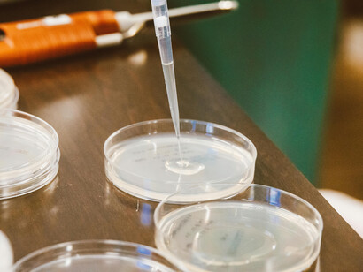 La nanotecnología ha permitido diseñar biomateriales que imitan estructuras biológicas a escala microscópica, mejorando la regeneración de tejidos