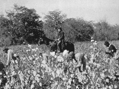 This image captures not just labor, but the systemic extraction of life, dignity, and futures from generations of enslaved and oppressed Black Americans