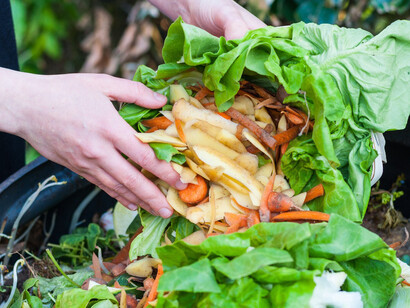 Recuperare i cibi scartati