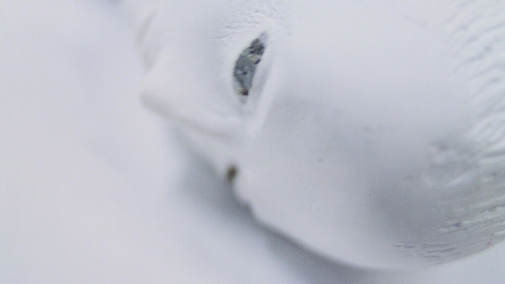 Jaume Plensa. Courtesy of Galerie Lelong