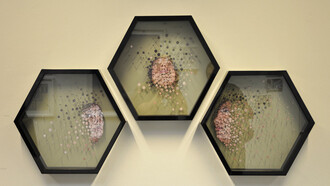 Micaela Lattanzio, Costellazioni, Bi-Box Art Space, SetUp Art Fair 2016