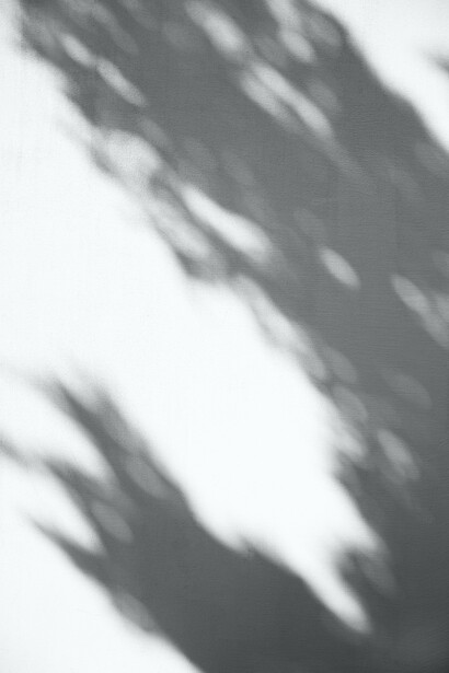 The quantum field equation encodes dynamics and symmetries of synergistically coupled clusters of information