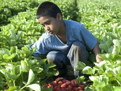 En el año 2019, a nivel mundial, trabajaban más de 150 millones de menores de edad
