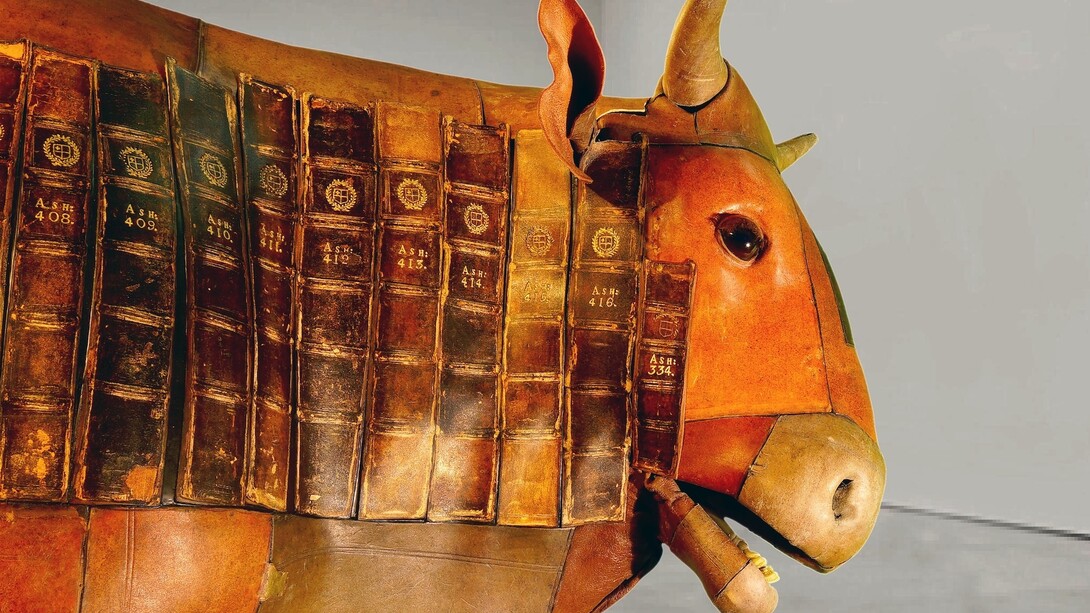 Rémy Markowitsch, The Casebooks Calf (Casebooks commission). Courtesy of Ambika P3 and the Casebooks Project 