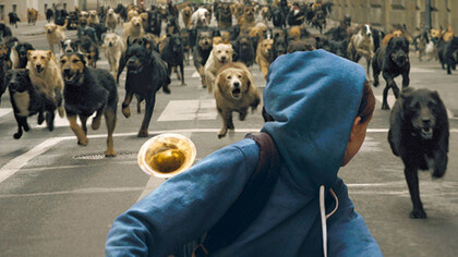 Imagen de *White God*, del húngaro Kornél Mundruczó