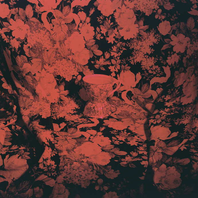 Carlo Benvenuto, Senza titolo, 2013, C-print, 75 x 75 cm, Courtesy the artist and Sprovieri, London