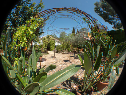 Firenze, Giardino Torrigiani, Matteo Baroni, Opera Viva, foto Niccoletta Filardi