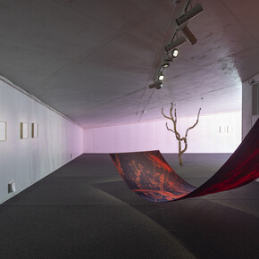 Maria Kapajeva, I am a border, exhibition vew. Courtesy of Tallinn City Gallery