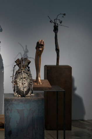 Aron Demetz. Courtesy of Doris Ghetta